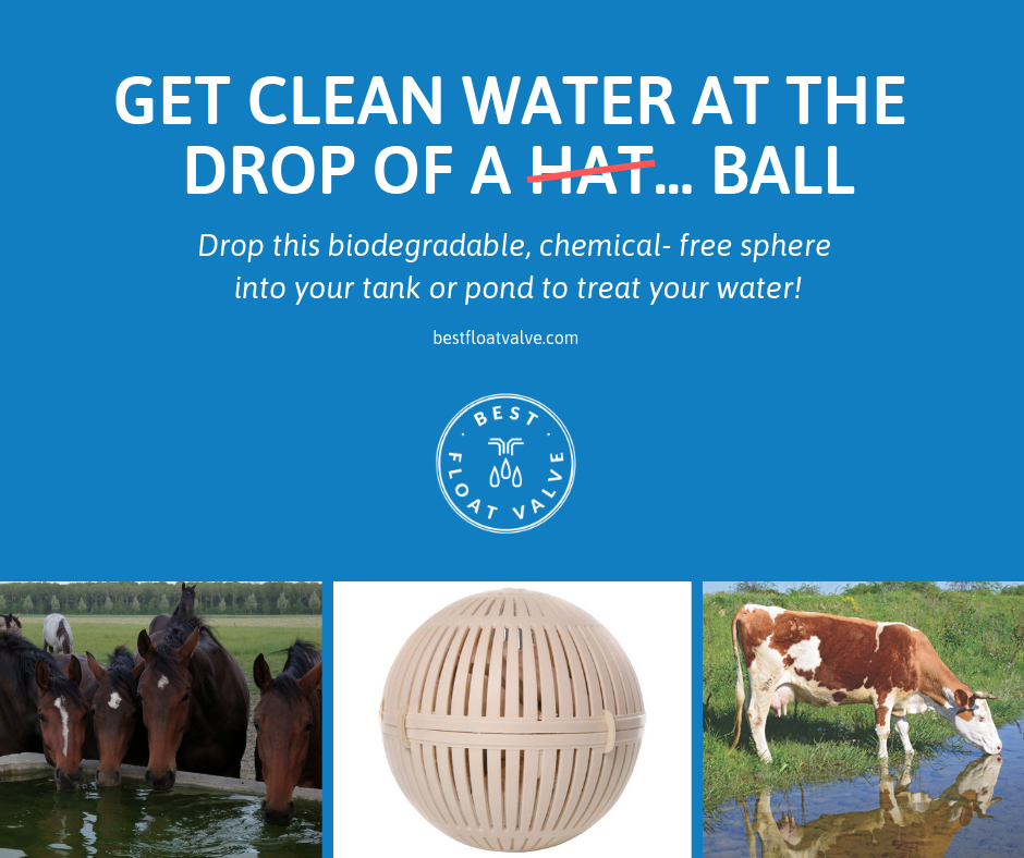 Clean Water for Them, Easy and Cost-Effective for You
